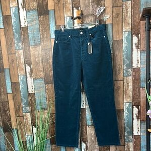 BR 30 petite high rise straight teal corduroy pants